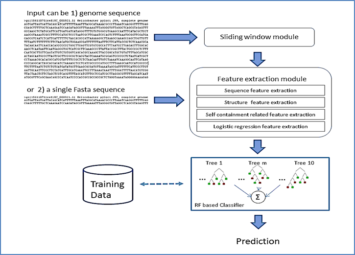HLRF workflow