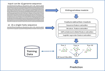 HLRF supporting figure