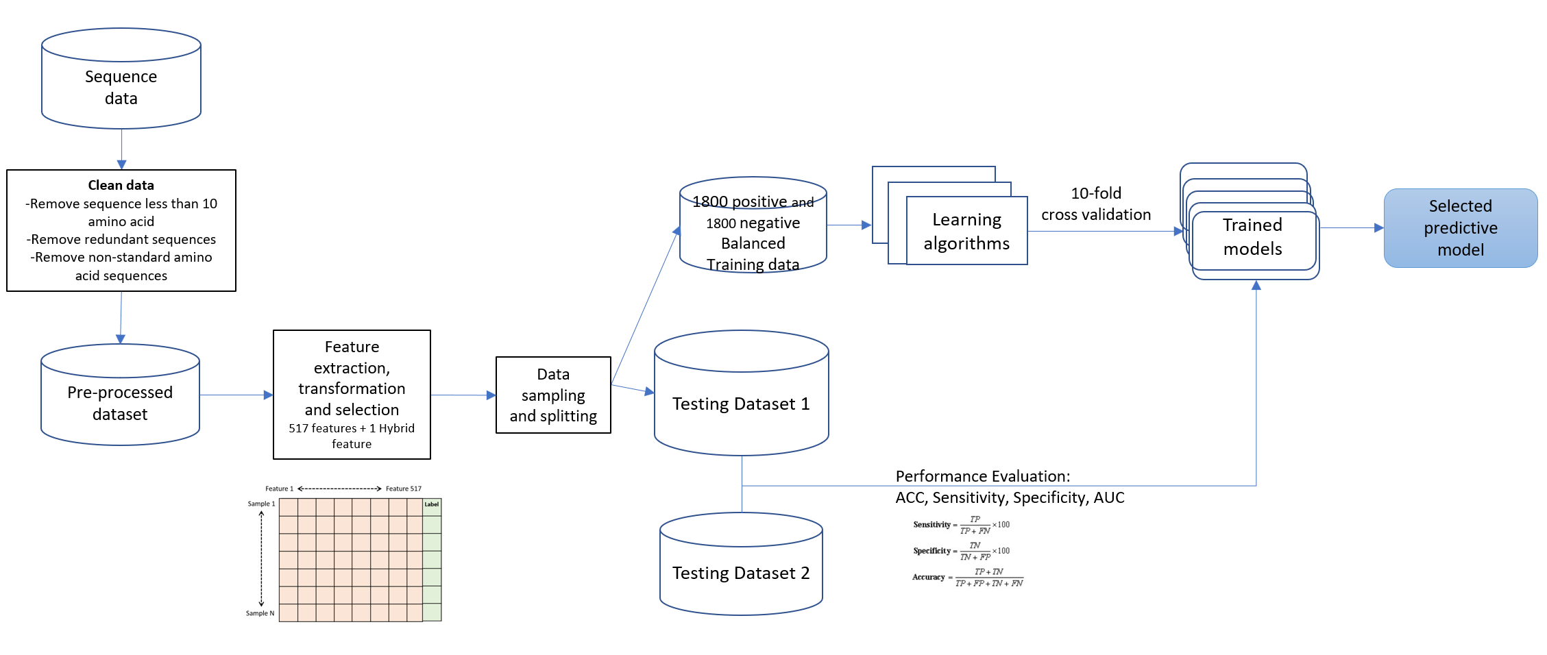 AMP feature interpretation
