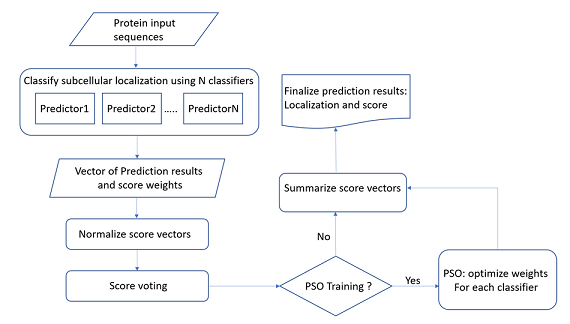 PSO-LocBact workflow